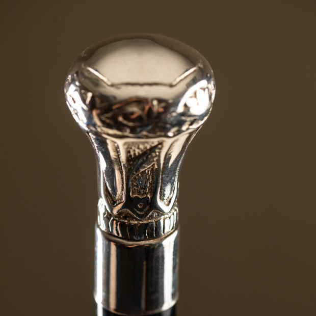 Iowa Band cane